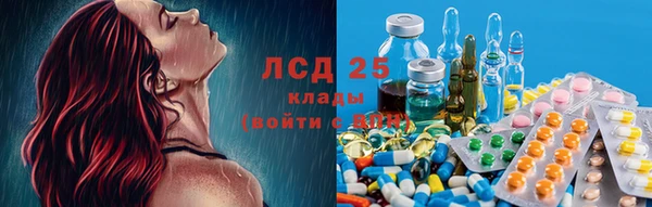 гидра Михайловка