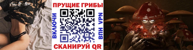 Галлюциногенные грибы Psilocybine cubensis  Сургут 