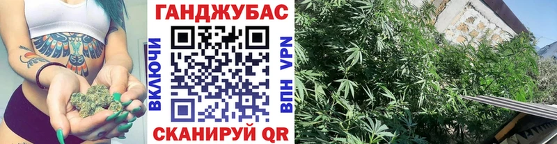 блэк спрут ССЫЛКА  Сургут  Марихуана SATIVA & INDICA 